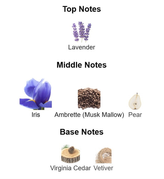 Dior Homme Intense sample (2ml)